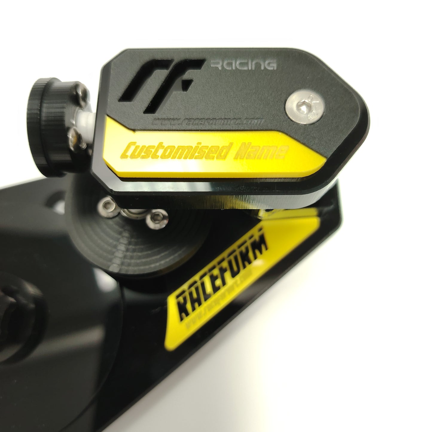 LIMITED 200 UNITS WORLDWIDE ONLY!!!!!! CUSTOMISED 1/8 BUGGY LAZER JIG